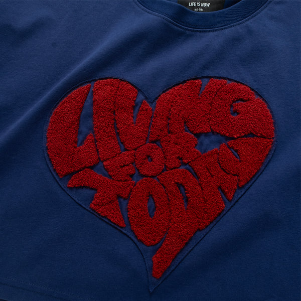 (TP1729) Heart Patch Cropped Tee