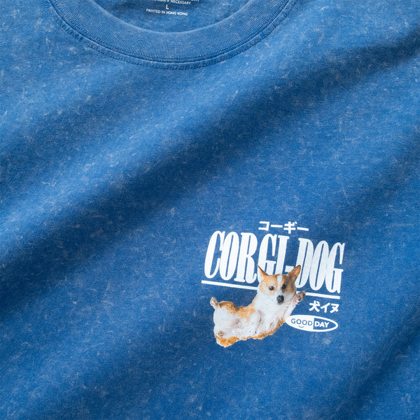 (ZT1855) Swimming Corgi Graphic Tee