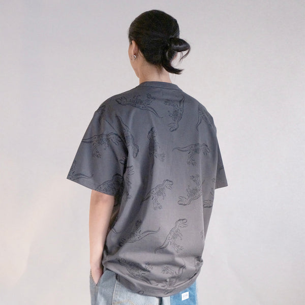 (TP1833) Dinosaur Pattern Tee