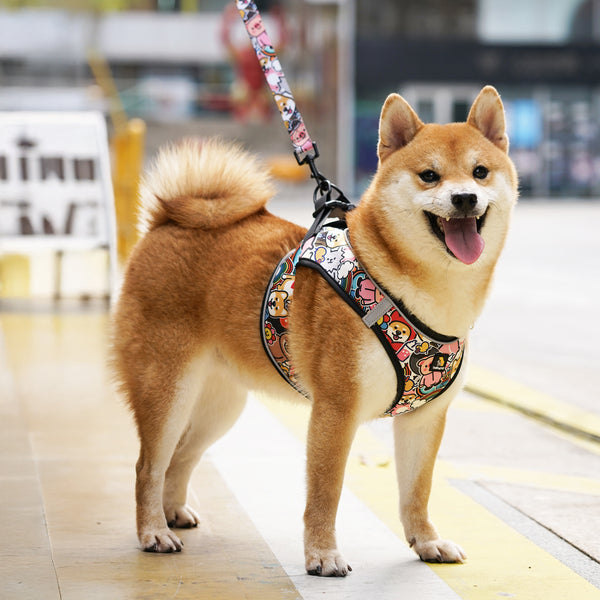 (EX670) OxyMesh Velcro Step in Harness Set