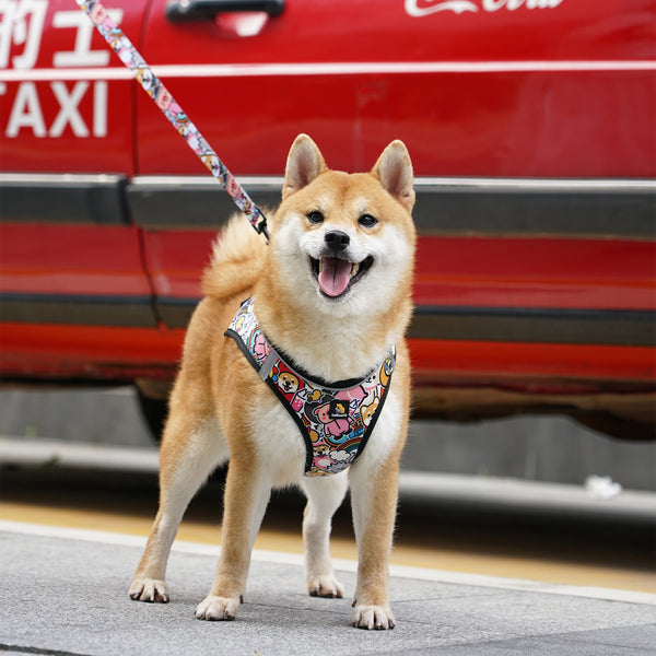 (EX670) OxyMesh Velcro Step in Harness Set