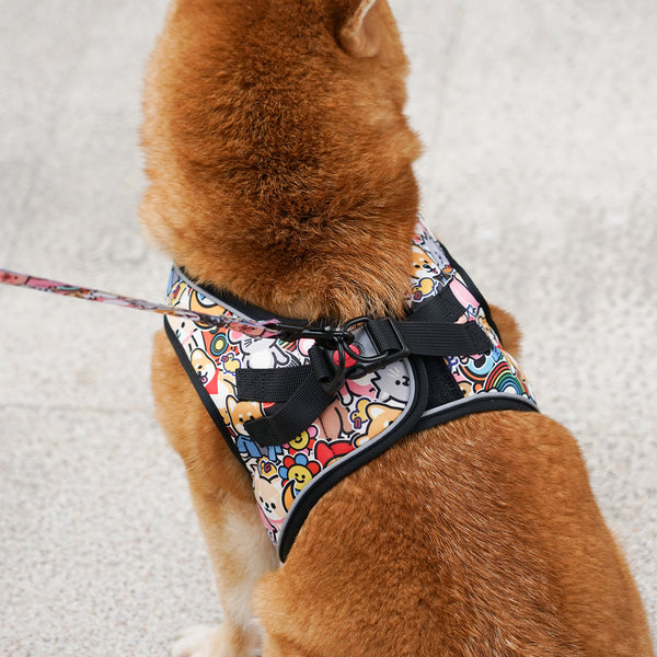 (EX670) OxyMesh Velcro Step in Harness Set