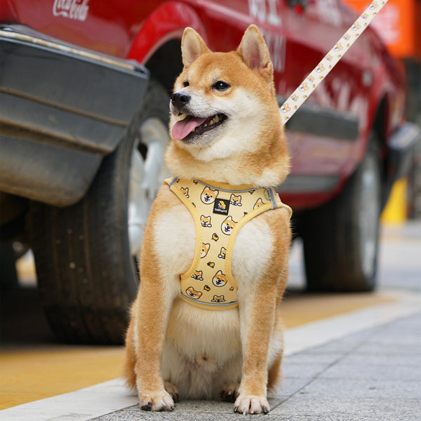 (EX670) OxyMesh Velcro Step in Harness Set