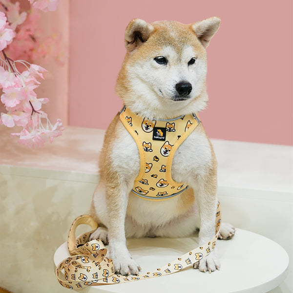 (EX670) OxyMesh Velcro Step in Harness Set