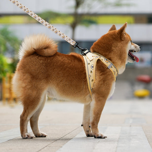 (EX670) OxyMesh Velcro Step in Harness Set