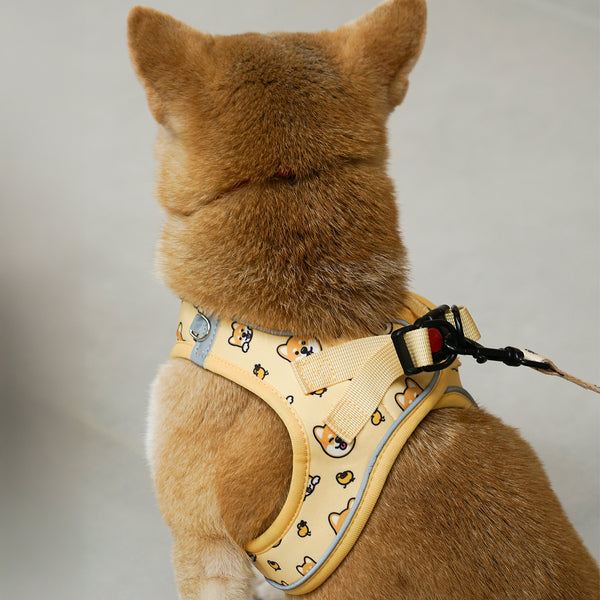 (EX670) OxyMesh Velcro Step in Harness Set