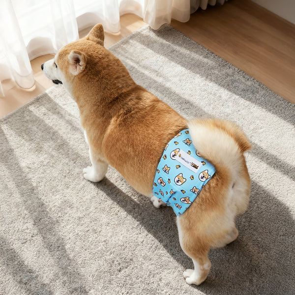(EX671) Washable Male Dog Belly Band Set