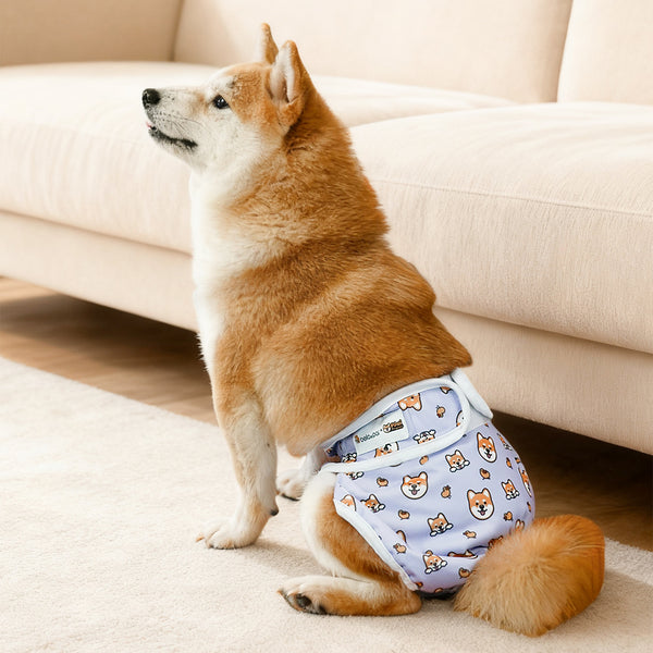 (EX672) Washable Female Dog Diaper Set