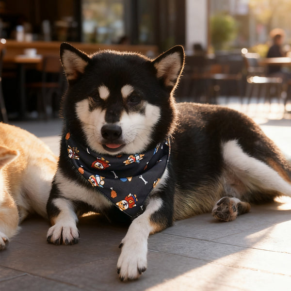 (EX673) Triangle Dog Bandana