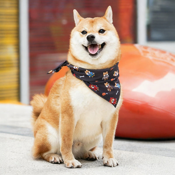 (EX673) Triangle Dog Bandana