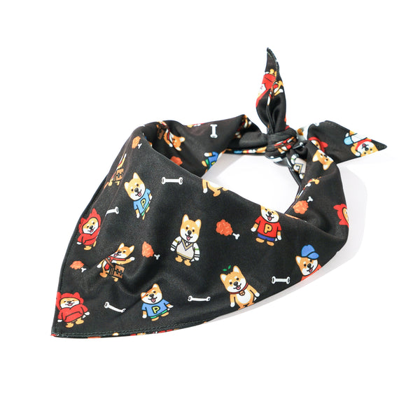 (EX673) Triangle Dog Bandana