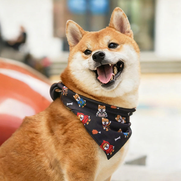 (EX673) Triangle Dog Bandana