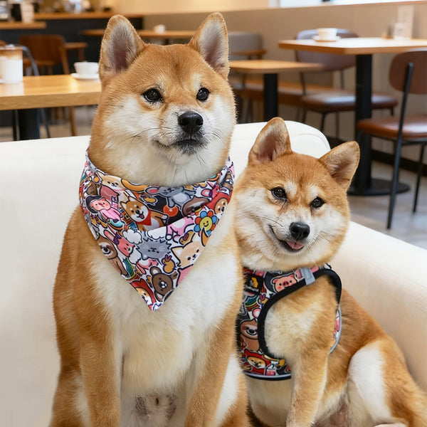 (EX673) Triangle Dog Bandana