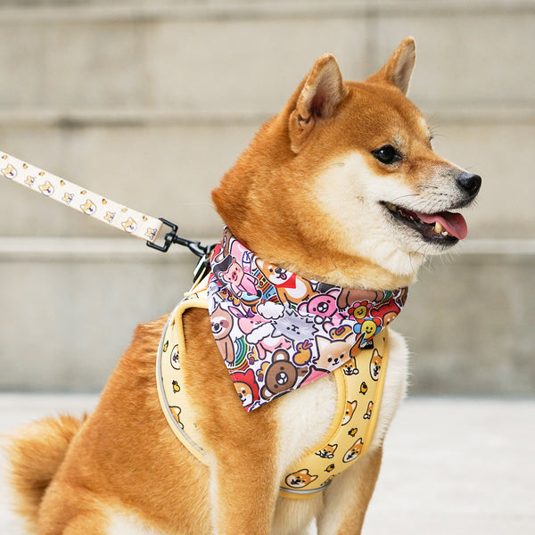 (EX673) Triangle Dog Bandana