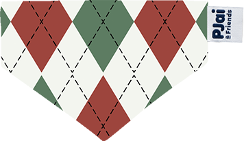 (EMA017) MYO 2.0 PJai & Friends Graphic Bandana