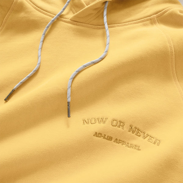 (YW412) Embroidery Sleeve Patch Hoodie