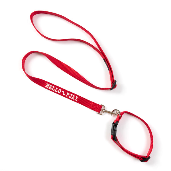 (EMA012) Make Your Own Dog Leash