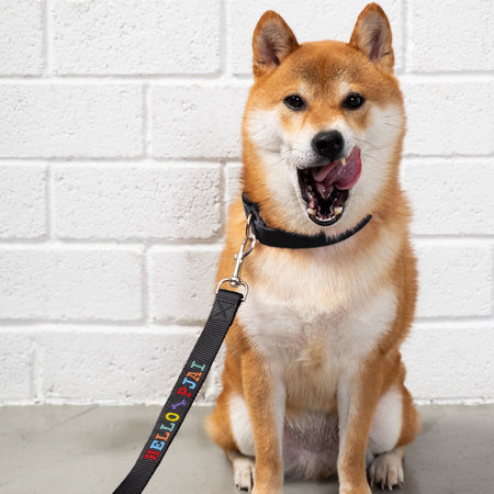 (EMA014) Make your Own Towel