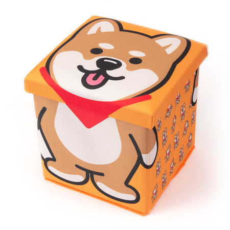 (AC277) Outdoor Logo Cap