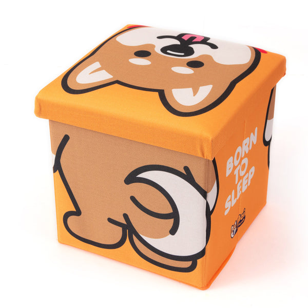 (AA353) Graphic Storage Stool