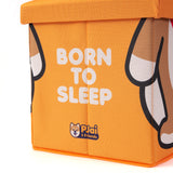 (AA353) Graphic Storage Stool