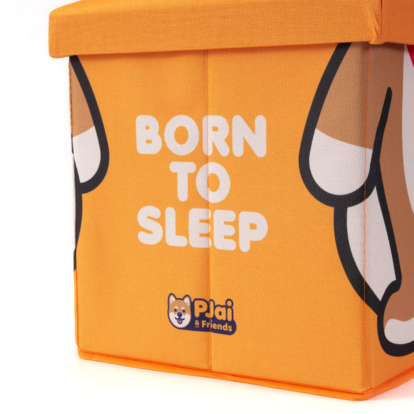 (AA353) Graphic Storage Stool