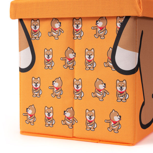 (AA353) Graphic Storage Stool