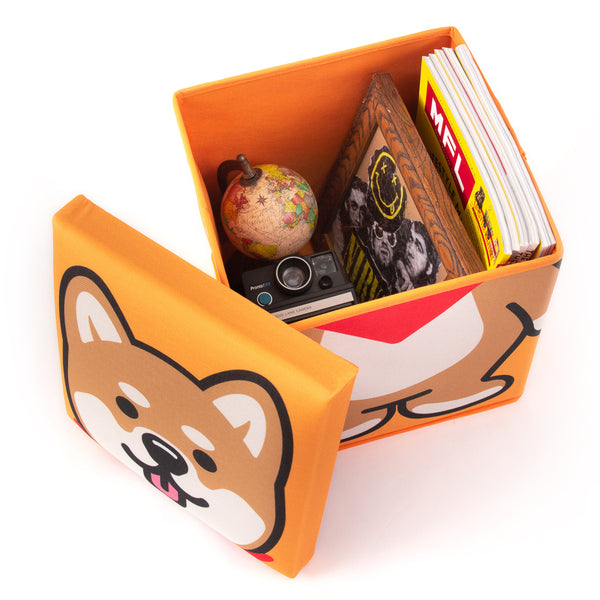 (AA353) Graphic Storage Stool