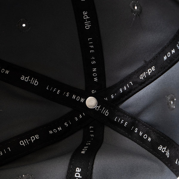 (AC248) Pro Cap