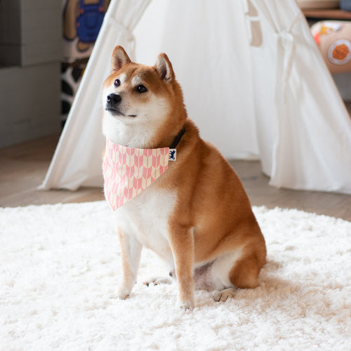 (YA452) Pink Arrow Pattern Pet Bandana