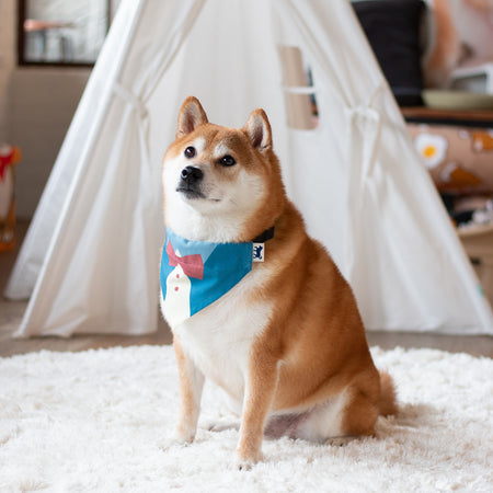 (EMA014) Make your Own Towel