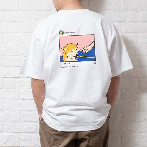 (ZT693) Shiba IG Graphic Tee