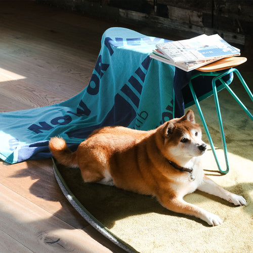 (SO084) Premium - Big Towel