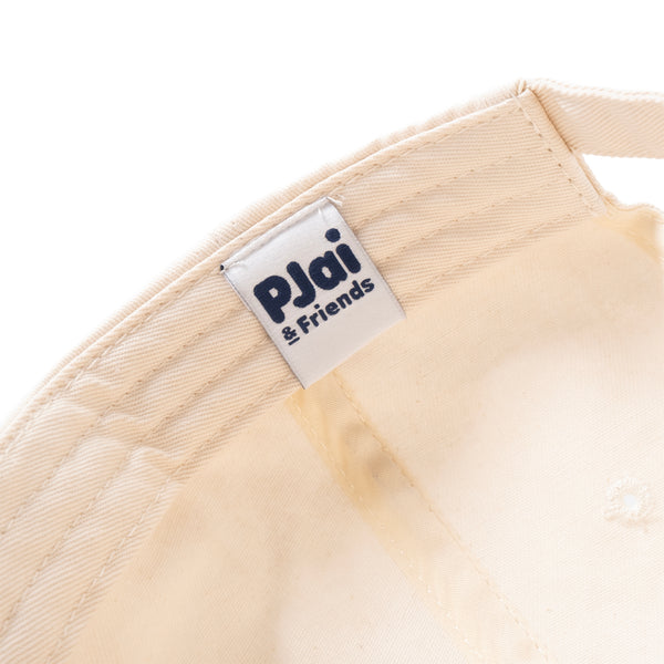 (EX658) Graphic Embroidery Cap