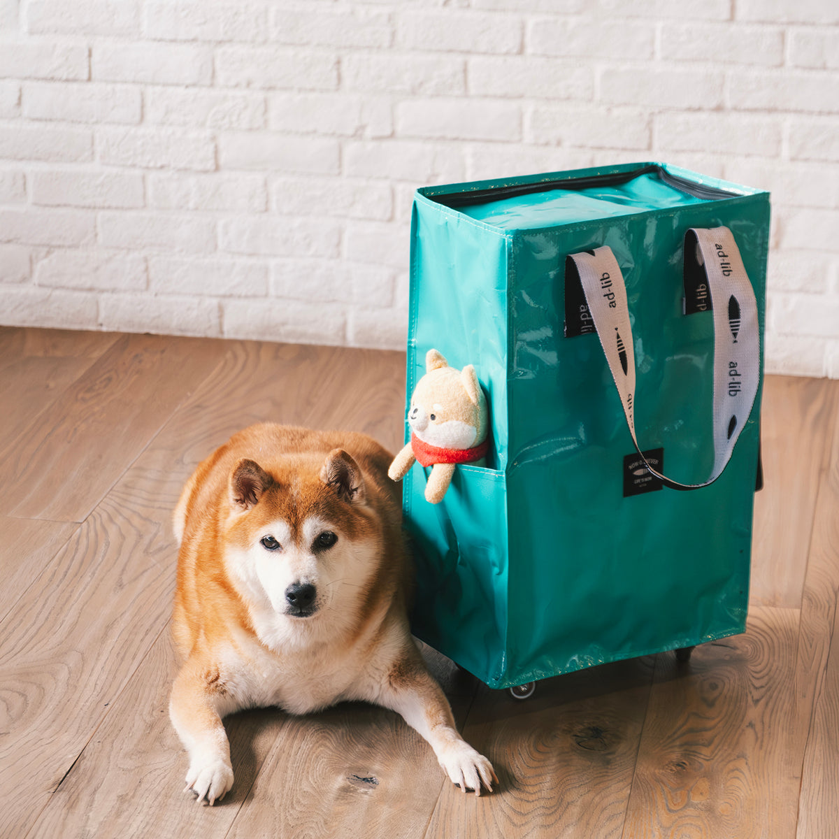 (SO120) 贈品 - 摺疊轆轆袋