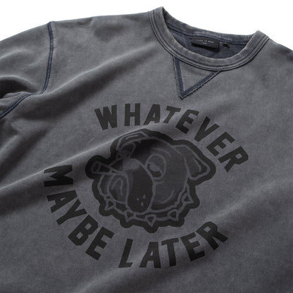 (SW570) Bulldog Graphics Sweatshirt