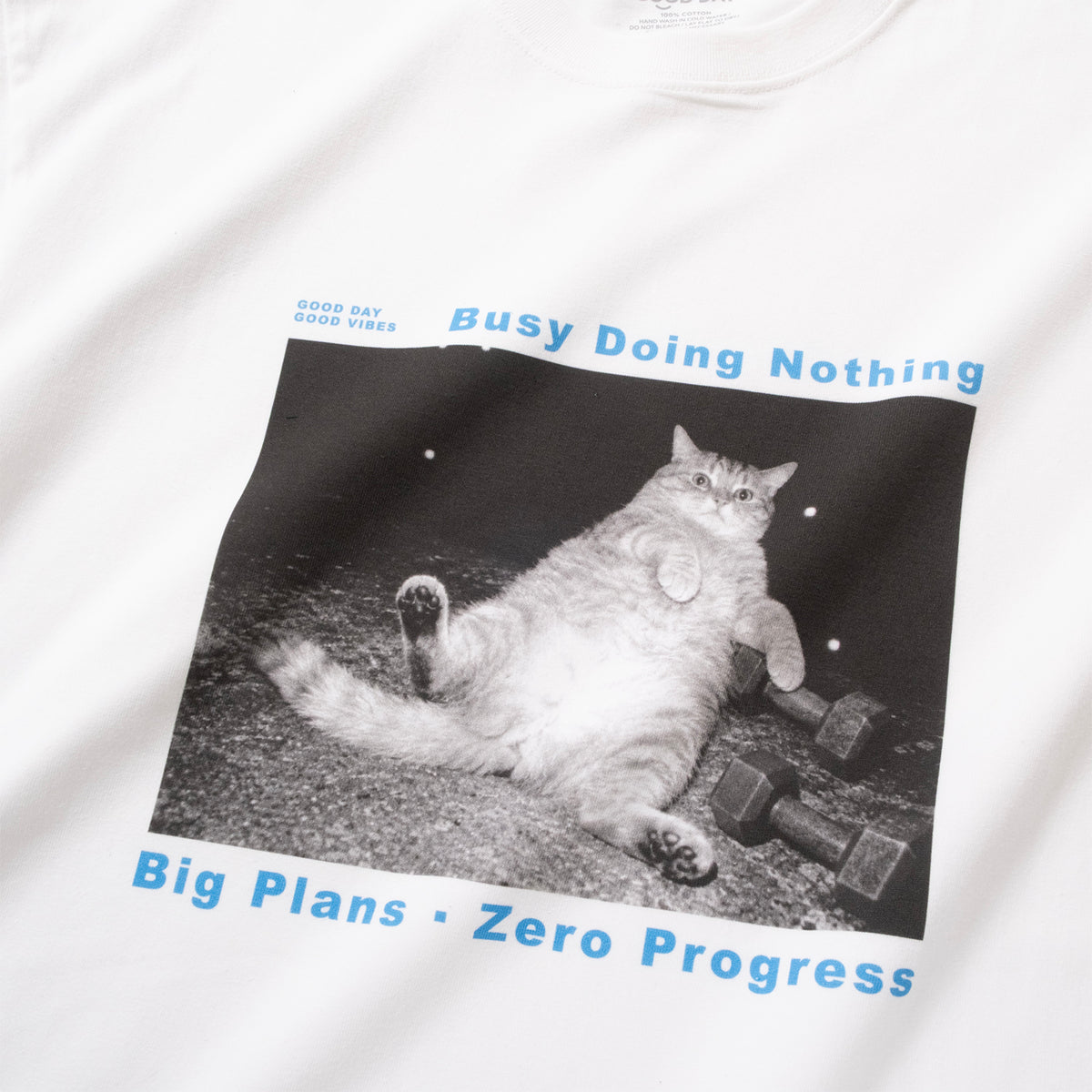 (ZT1977) Zero Progress Cat Photoprint Tee