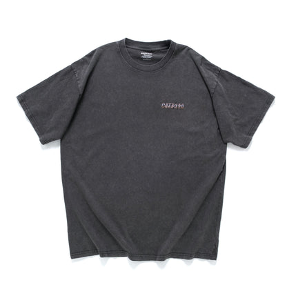 (ZT1877) Catzilla Movie Graphic Tee