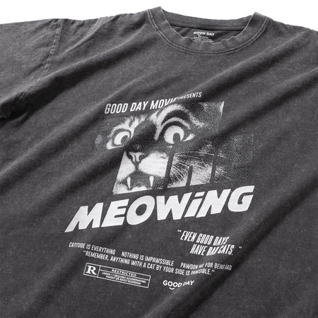 (ZB540) The Meowing Washed Tote Bag