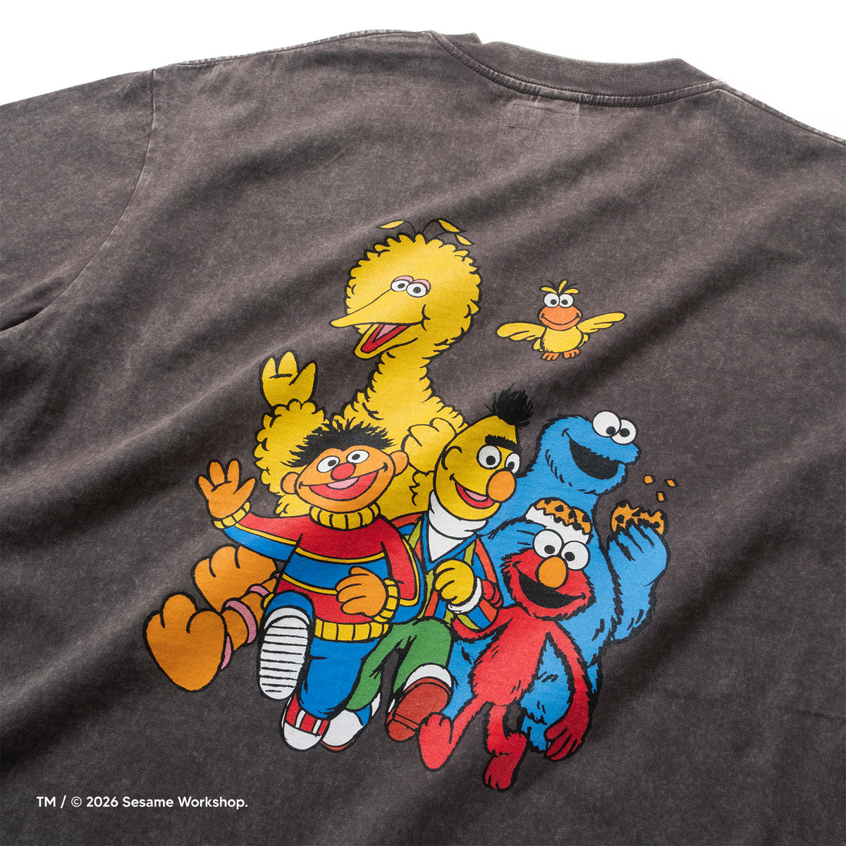(EX711) Good Friends 圖案洗水 Tee