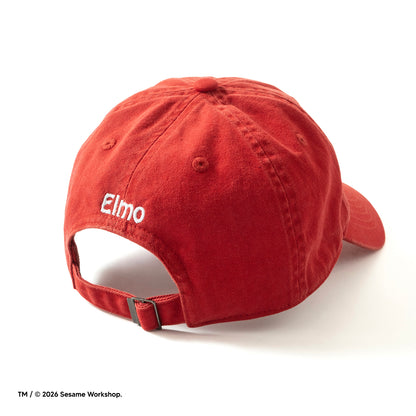 (EX720) Embroidery Cap