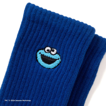 (EX721) Embroidery Socks