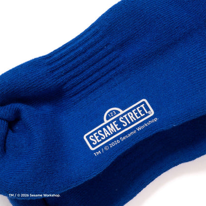 (EX721) Embroidery Socks