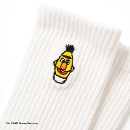 (EX721) Embroidery Socks