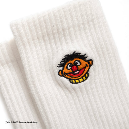 (EX721) Embroidery Socks