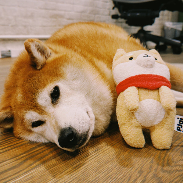 (AA545) 20cm P仔 Foodie 公仔