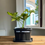 (SO089) Premium - Storage Box Mini