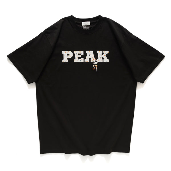 (ZT1272) Peak Climbing Graphic Embroidery Tee