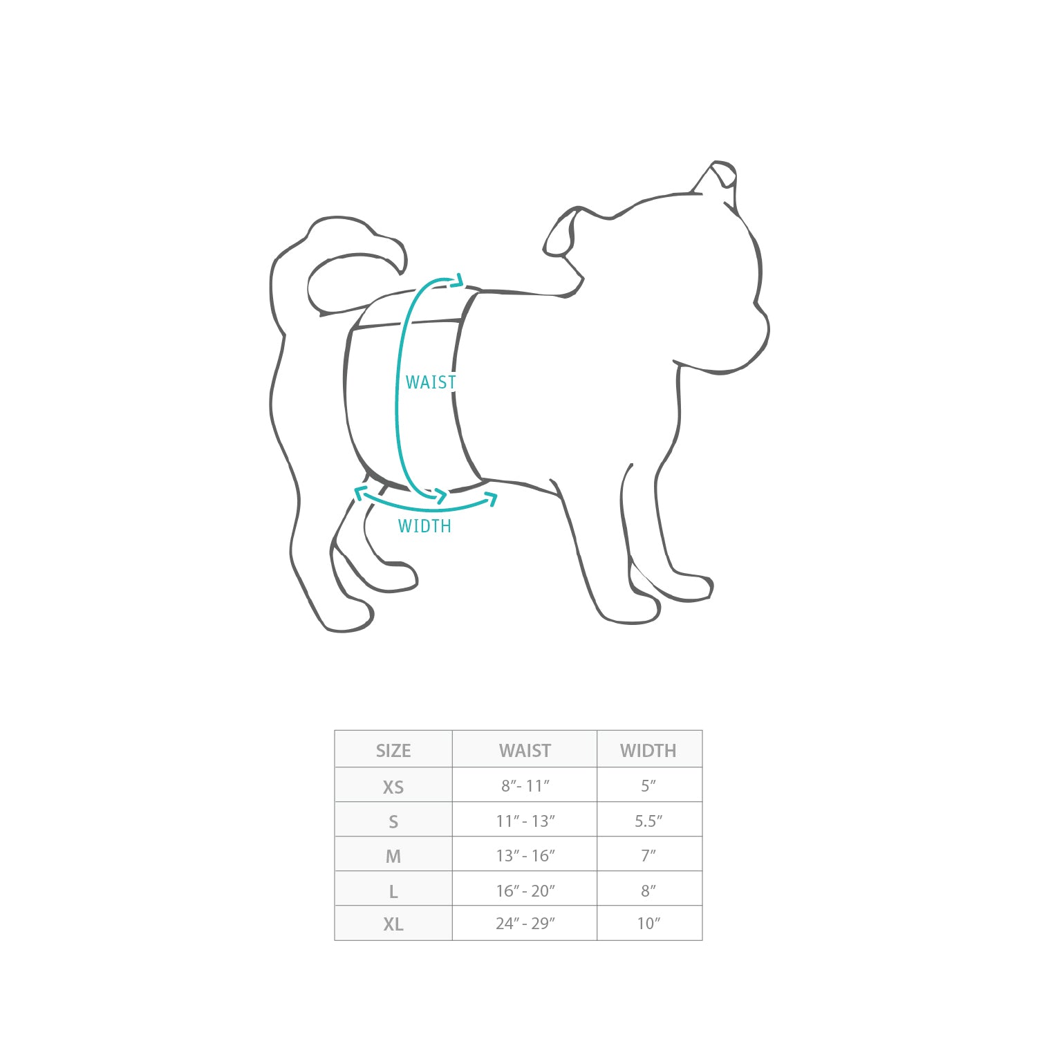 (EX671) 可水洗狗仔尿布3件裝 Size Chart
