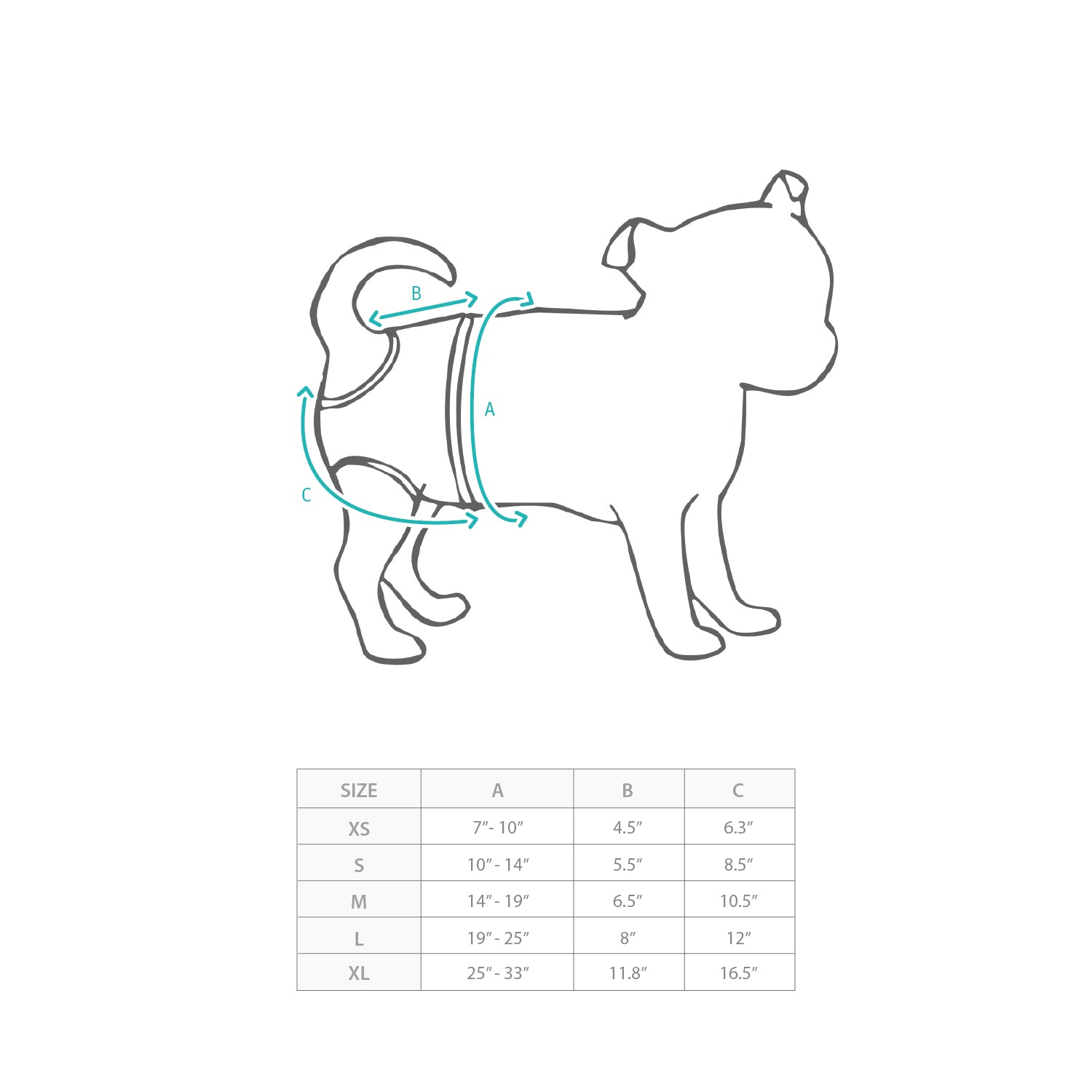 (EX672) 可水洗狗女尿布3件裝 Size Chart